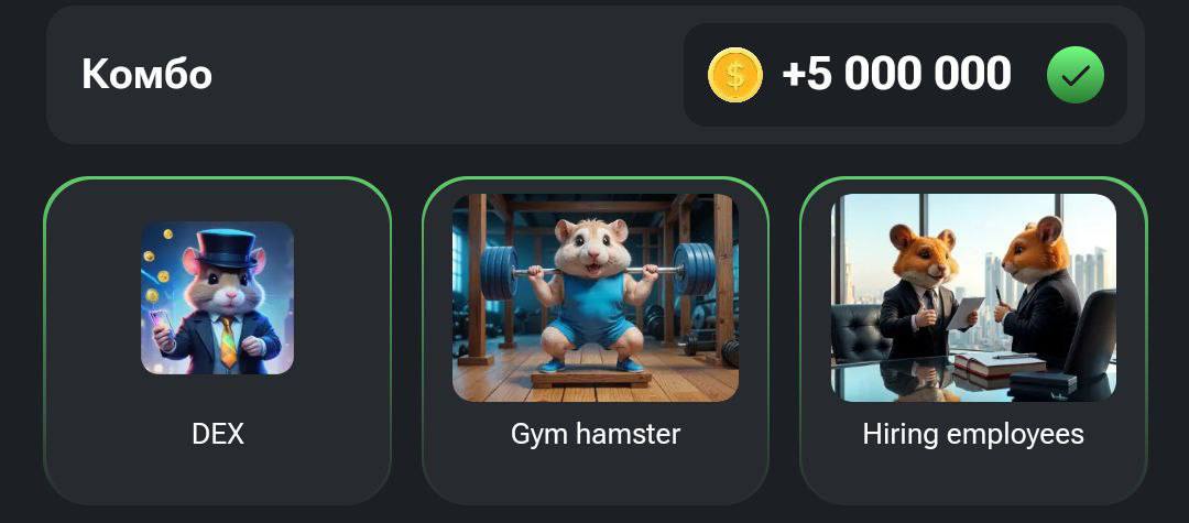 Новое комбо Hamster Kombat