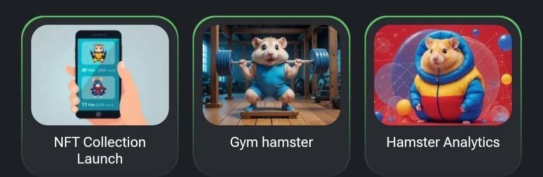 Новое комбо Hamster Kombat