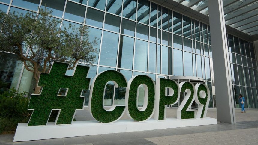 COP29