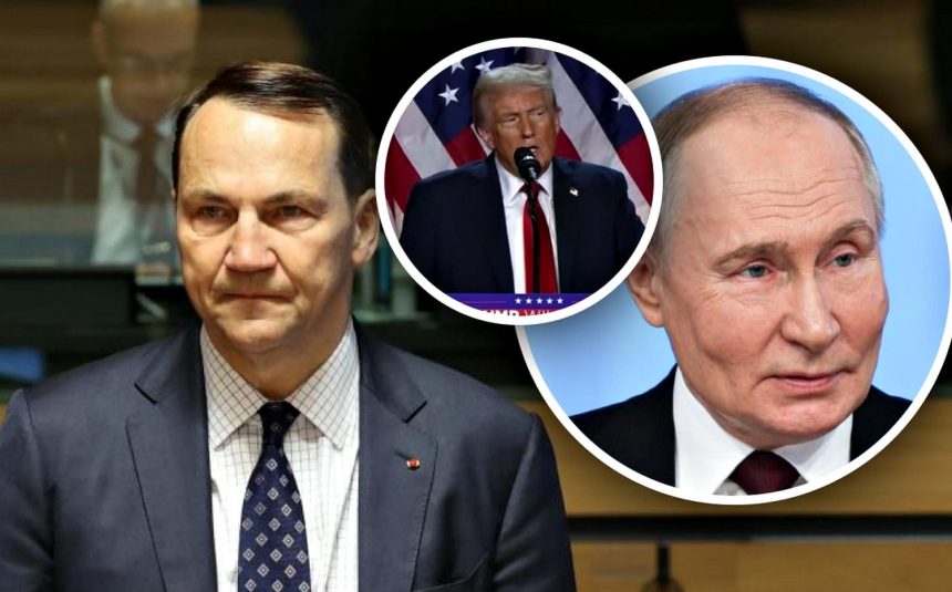 Радослав Сікорський, Дональд Трамп і Володимир Путін.