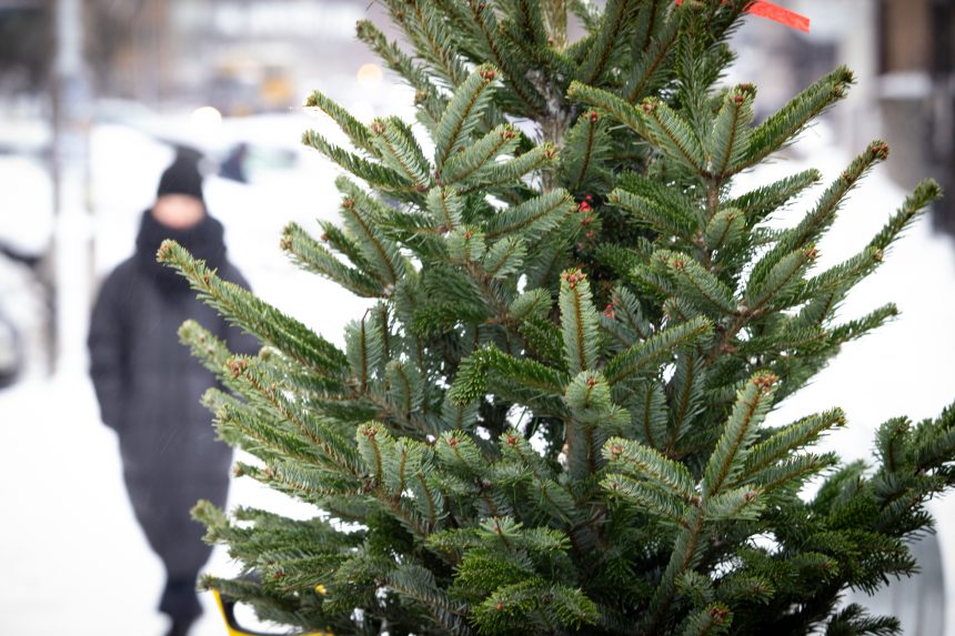 Ялинковий ярмарок