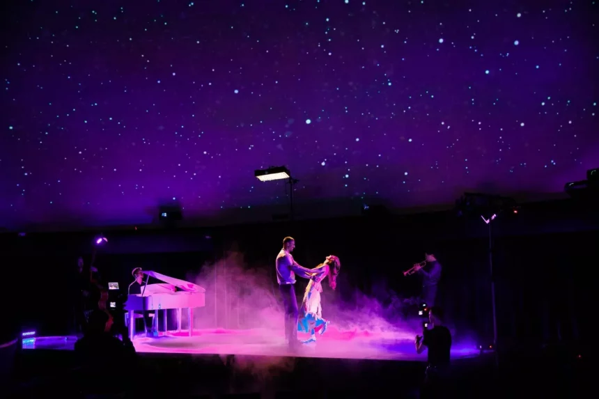 «Холостяк-14».